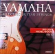 Yamaha EN 10 - kovové struny pro elektrickou kytaru (light) 10/46