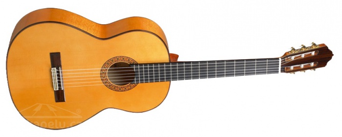 ESTEVE 6F Flamenco Spruce - made in Spain ESTEVE 6F Flamenco Spruce - made in Spain