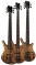 WARWICK Thumb Bolt On - baskytara