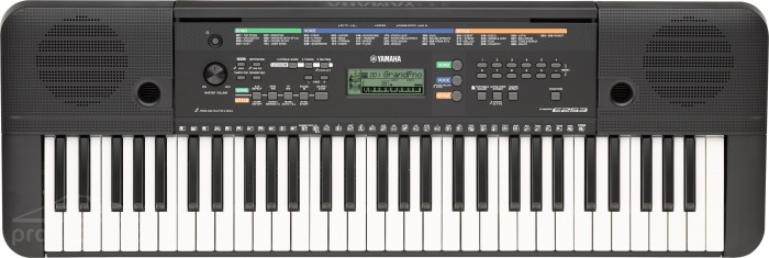 Yamaha PSR E253