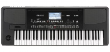 Korg Pa300