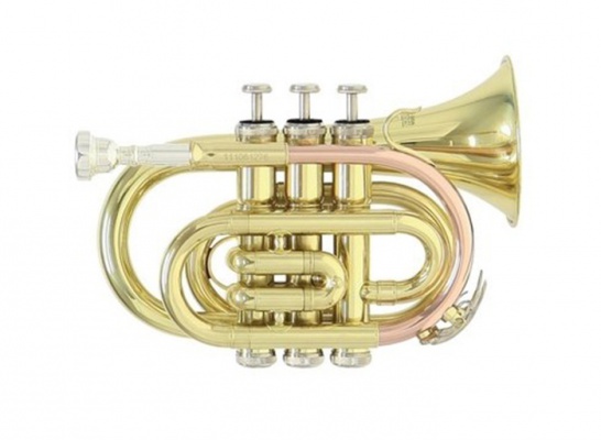 Kapesní trumpeta