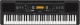 Yamaha PSR EW300