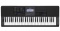 CASIO CTX800 SET 1B