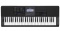 CASIO CTX800 SET 1X