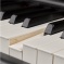 yamaha p 515 klaviatura