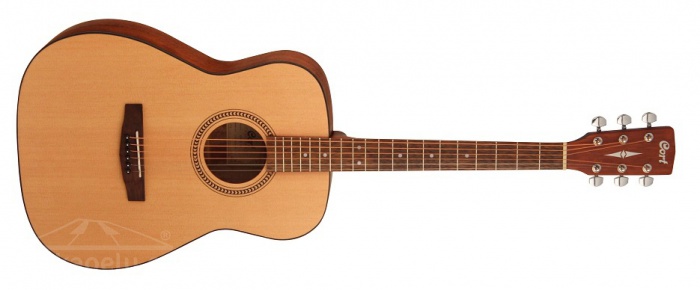 Cort AF505 OP - akustická kytara