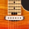 Cort G 280DX JSS - elektrická kytara