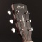 Cort CJ MEDX NAT - elektroakustická kytara