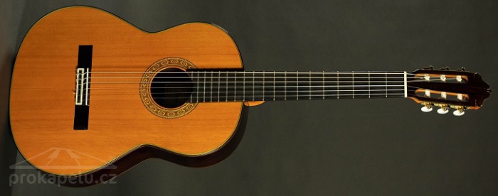 ESTEVE 11 Cedar - klasická kytara ESTEVE 11 Cedar - klasická kytara