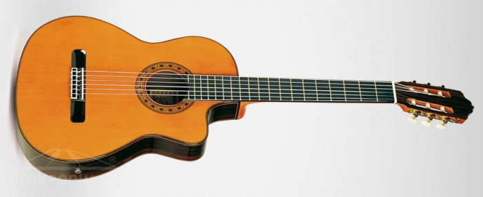 ESTEVE ELEC Cedar - klasická kytara se snímačem - made in Spain ESTEVE ELEC Cedar - klasická kytara se snímačem - made in Spain