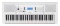 Yamaha EZ300 SET 4XFPS