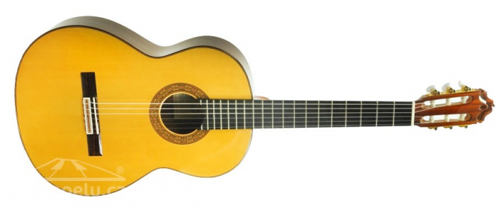 Francisco Esteve model 12 - klasická kytara