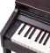 Roland RP 701 DR - digitální piano