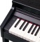 Roland RP 701 CB - digitální piano