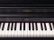 Roland RP 701 CB - digitální piano