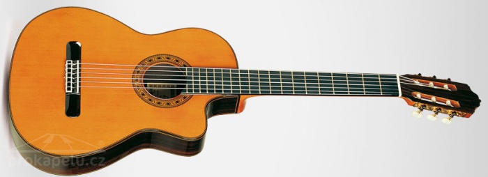 ESTEVE ELEC Spruce - klasická kytara se snímačem - made in Spain