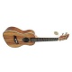 Aiersi SU 074 PAE - elektroakutické koncertní ukulele s pouzdrem