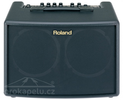 Roland AC 60 - kombo pro akustické kytary