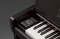 KAWAI CA 99 R - digitální piano