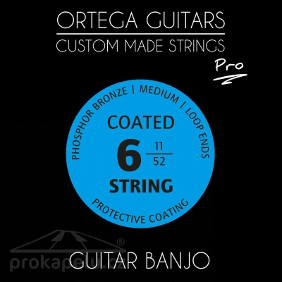 Ortega GBJP 6 - struny pro šestistrunné banjo