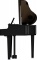 Roland GP 6 PE - digitální piano