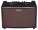 Roland AC 60 RW - kombo pro akustické kytary