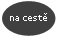 na cestě